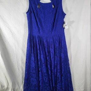 Nwt Danny & Nicole Royal Blue Lace Midi Dress Womens Size 8